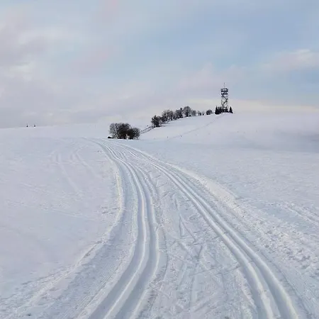 Chalet Horni Orlice *