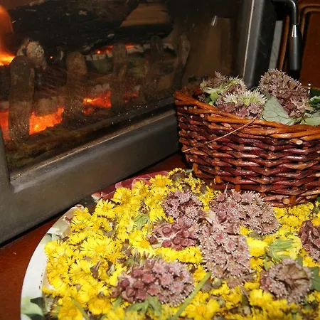 Horni Orlice Chalet Cervena Voda